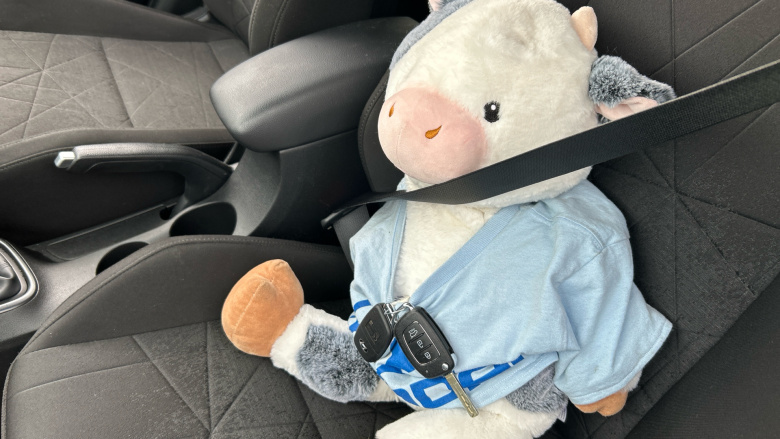 Hyundai BAYON 1.0 TGDi [120] 48V MHEV Premium 5dr Petrol Hatchback